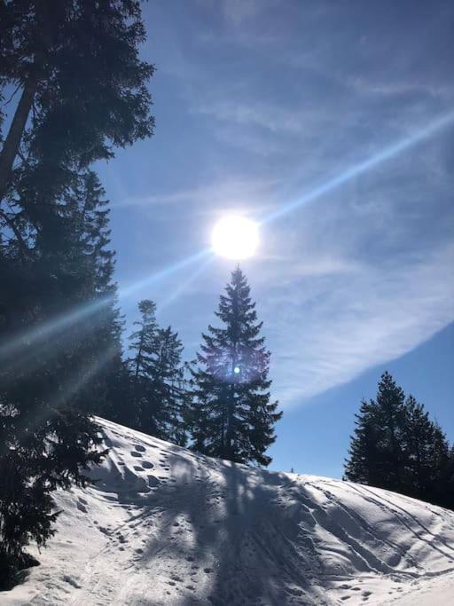 זיפלד אין טירול Sonniges Apartment In Seefeld מראה חיצוני תמונה