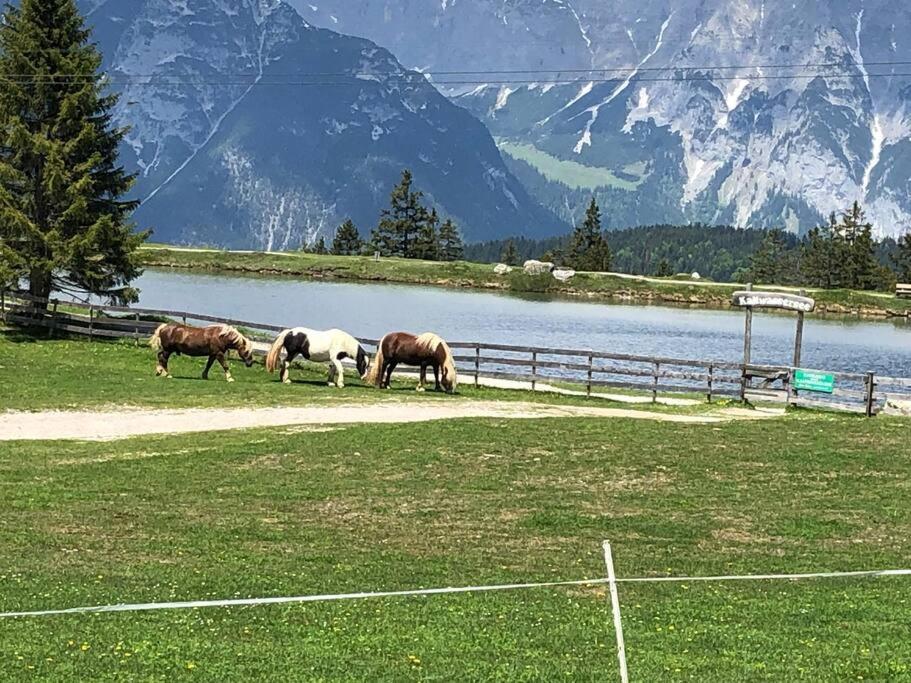 זיפלד אין טירול Sonniges Apartment In Seefeld מראה חיצוני תמונה