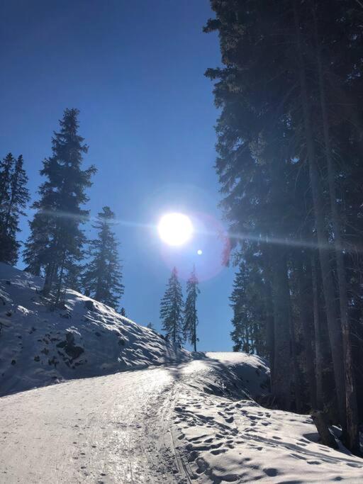 זיפלד אין טירול Sonniges Apartment In Seefeld מראה חיצוני תמונה