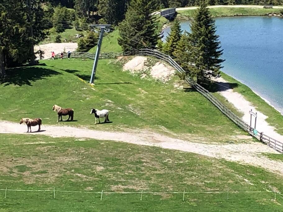 זיפלד אין טירול Sonniges Apartment In Seefeld מראה חיצוני תמונה